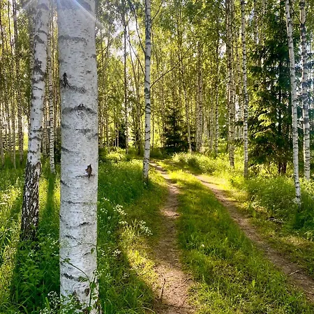 Fairytale Experience, Tartu 5 Min, Nearby * Lombi