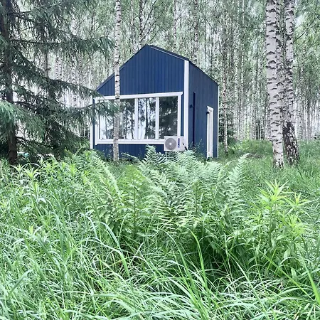 Fairytale Experience, Tartu 5 Min, Nearby *