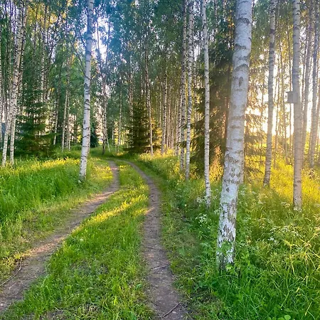 Fairytale Experience, Tartu 5 Min, Nearby Lombi